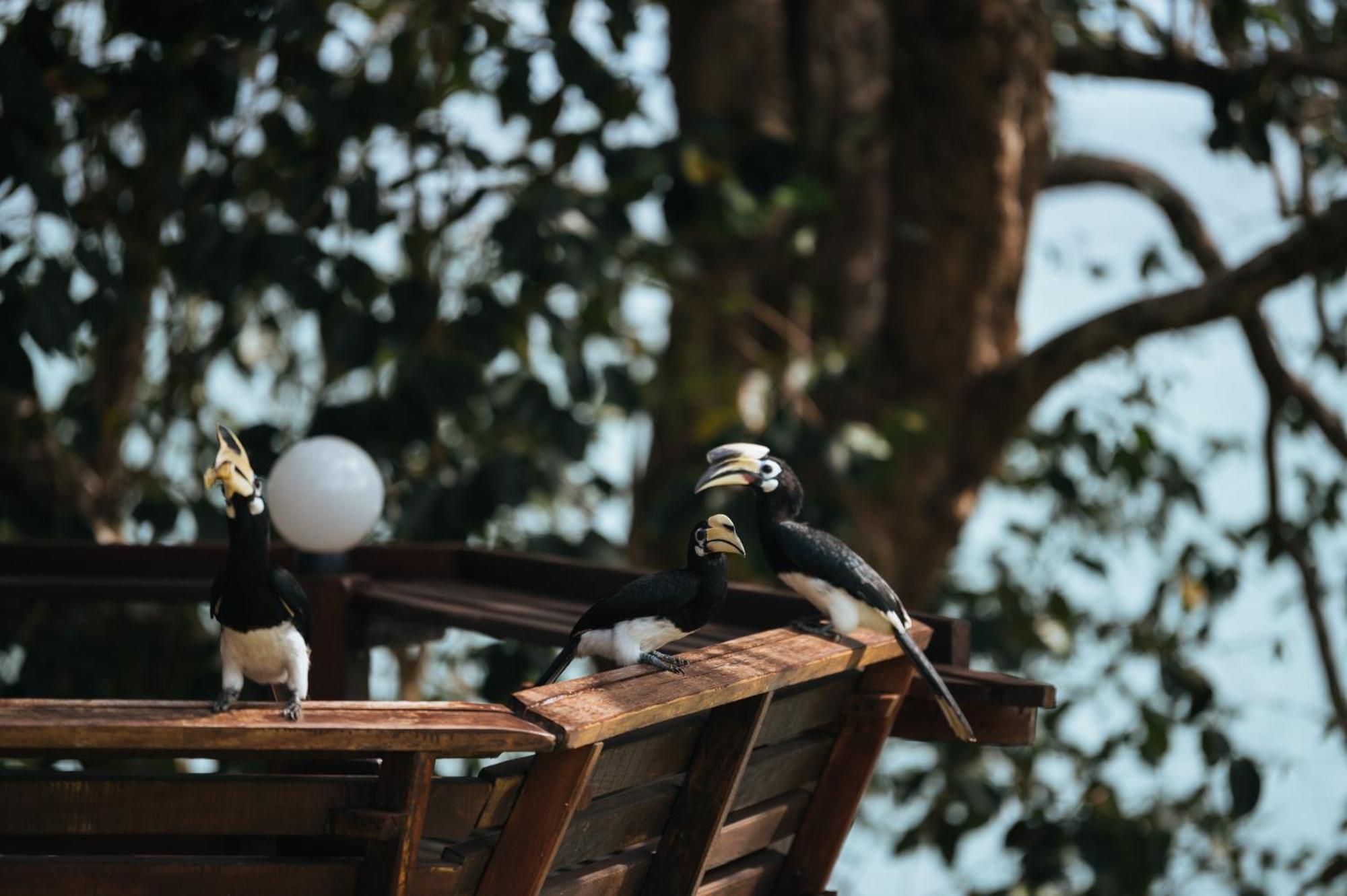 Phayamas Private Beach Resort And Island Brew - Adults Only Koh Phayam Exteriör bild