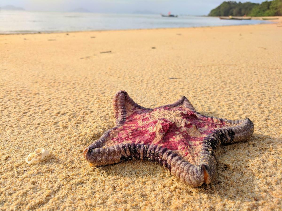 Phayamas Private Beach Resort And Island Brew - Adults Only Koh Phayam Exteriör bild